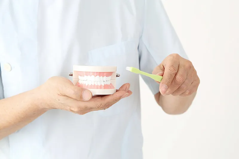 健康的な歯を保つための予防歯科